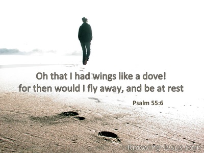 Oh, that I had wings like a dove! I would fly away and be at rest.